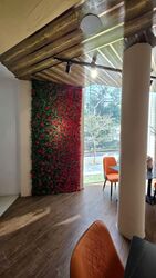 Rangoon Road (D8), Retail #568704731